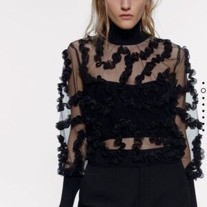 Zara semi-sheer mesh cropped top